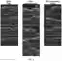 Fig. 04 - TOPICAL DELIVERY OF NUCLEIC ACID COMPOUNDS