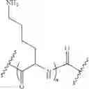 Fig. 17 - TOPICAL DELIVERY OF NUCLEIC ACID COMPOUNDS