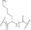 Fig. 18 - TOPICAL DELIVERY OF NUCLEIC ACID COMPOUNDS