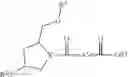 Fig. 19 - TOPICAL DELIVERY OF NUCLEIC ACID COMPOUNDS