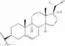 Fig. 25 - TOPICAL DELIVERY OF NUCLEIC ACID COMPOUNDS