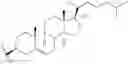 Fig. 26 - TOPICAL DELIVERY OF NUCLEIC ACID COMPOUNDS