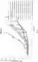 Fig. 04 - Aziridine containing DNA alkylating agents
