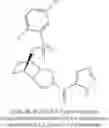 Fig. 103 - [(PHENYLSULFONYL)OCTAHYDRO-EPIMINOISOINDOL-YL](1H-1,2,3-TRIAZOL-5-YL)METHANONES