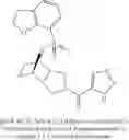Fig. 113 - [(PHENYLSULFONYL)OCTAHYDRO-EPIMINOISOINDOL-YL](1H-1,2,3-TRIAZOL-5-YL)METHANONES