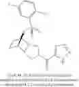 Fig. 114 - [(PHENYLSULFONYL)OCTAHYDRO-EPIMINOISOINDOL-YL](1H-1,2,3-TRIAZOL-5-YL)METHANONES