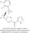 Fig. 115 - [(PHENYLSULFONYL)OCTAHYDRO-EPIMINOISOINDOL-YL](1H-1,2,3-TRIAZOL-5-YL)METHANONES