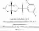 Fig. 41 - [(PHENYLSULFONYL)OCTAHYDRO-EPIMINOISOINDOL-YL](1H-1,2,3-TRIAZOL-5-YL)METHANONES
