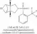 Fig. 53 - [(PHENYLSULFONYL)OCTAHYDRO-EPIMINOISOINDOL-YL](1H-1,2,3-TRIAZOL-5-YL)METHANONES
