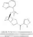 Fig. 97 - [(PHENYLSULFONYL)OCTAHYDRO-EPIMINOISOINDOL-YL](1H-1,2,3-TRIAZOL-5-YL)METHANONES