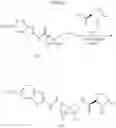 Fig. 86 - Riluzole prodrugs and their use