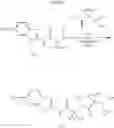 Fig. 89 - Riluzole prodrugs and their use