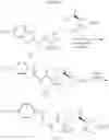Fig. 92 - Riluzole prodrugs and their use