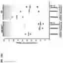 Fig. 25 - Compositions and methods for reactivating latent immunodeficiency virus using a GSK-3 inhibitor