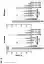 Fig. 27 - Compositions and methods for reactivating latent immunodeficiency virus using a GSK-3 inhibitor