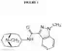 Fig. 02 - NOVEL AEROSOL FORMULATIONS OF GRANISETRON AND USES THEREOF