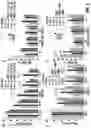 Fig. 02 - Neuroprotective CB2 receptor agonists