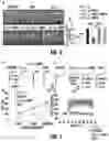 Fig. 05 - Neuroprotective CB2 receptor agonists