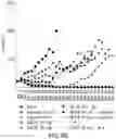 Fig. 10 - COMBINATION OF CERTINIB WITH AN EGFR INHIBITOR