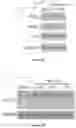 Fig. 05 - KCC2 expression enhancing compounds and uses thereof
