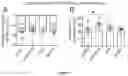 Fig. 20 - KCC2 expression enhancing compounds and uses thereof