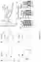 Fig. 28 - KCC2 expression enhancing compounds and uses thereof