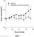 Fig. 07 - Methods for treating diseases associated with abnormal ACVR1 expression and ACVR1 inhibitors for use in the same