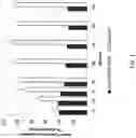 Fig. 02 - Nasal compositions stimulating ciliary activity