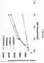 Fig. 02 - COMBINATION OF IMMUNOTHERAPEUTICS AND BISFLUOROALKYL-1,4-BENZODIAZEPINONE COMPOUNDS FOR TREATING LYMPHOMAS