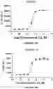 Fig. 16 - COMBINATION OF IMMUNOTHERAPEUTICS AND BISFLUOROALKYL-1,4-BENZODIAZEPINONE COMPOUNDS FOR TREATING LYMPHOMAS