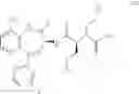 Fig. 66 - COMBINATION OF IMMUNOTHERAPEUTICS AND BISFLUOROALKYL-1,4-BENZODIAZEPINONE COMPOUNDS FOR TREATING LYMPHOMAS