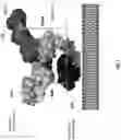 Fig. 04 - Immunoconjugates Comprising Anti-HER2 Antibodies and Pyrrolobenzodiazepines