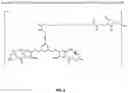 Fig. 07 - Immunoconjugates Comprising Anti-HER2 Antibodies and Pyrrolobenzodiazepines