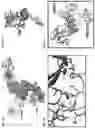 Fig. 14 - Immunoconjugates Comprising Anti-HER2 Antibodies and Pyrrolobenzodiazepines