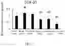 Fig. 06 - Sterol composition in pumpkin seed oil and application thereof, and drug for treating benign prostatic hyperplasia
