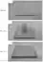 Fig. 06 - Dental and medical compositions having a multiple source of metallic ions