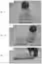 Fig. 08 - Dental and medical compositions having a multiple source of metallic ions
