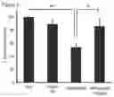 Fig. 05 - Pharmaceutical composition and methods comprising immune cells and ponatinib