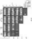 Fig. 07 - Immune cells expressing engineered antigen receptors