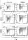 Fig. 09 - Immune cells expressing engineered antigen receptors