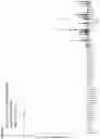 Fig. 11 - Peptides and combination of peptides of non-canonical origin for use in immunotherapy against different types of cancers