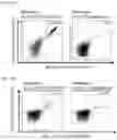 Fig. 15 - Peptides and combination of peptides of non-canonical origin for use in immunotherapy against different types of cancers