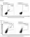 Fig. 17 - Peptides and combination of peptides of non-canonical origin for use in immunotherapy against different types of cancers