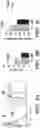 Fig. 03 - PD-L1 expressing hematopoietic stem cells and uses