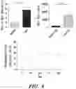 Fig. 10 - PD-L1 expressing hematopoietic stem cells and uses