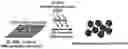 Fig. 01 - Method for efficiently producing 3D midbrain-like organoid through specific electromagnetic wave processing