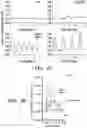 Fig. 08 - Methods and compositions for enhancing cardiomyocyte maturation and engraftment
