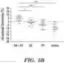 Fig. 19 - Methods and compositions for enhancing cardiomyocyte maturation and engraftment