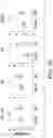 Fig. 20 - Methods and compositions for enhancing cardiomyocyte maturation and engraftment