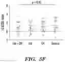 Fig. 23 - Methods and compositions for enhancing cardiomyocyte maturation and engraftment